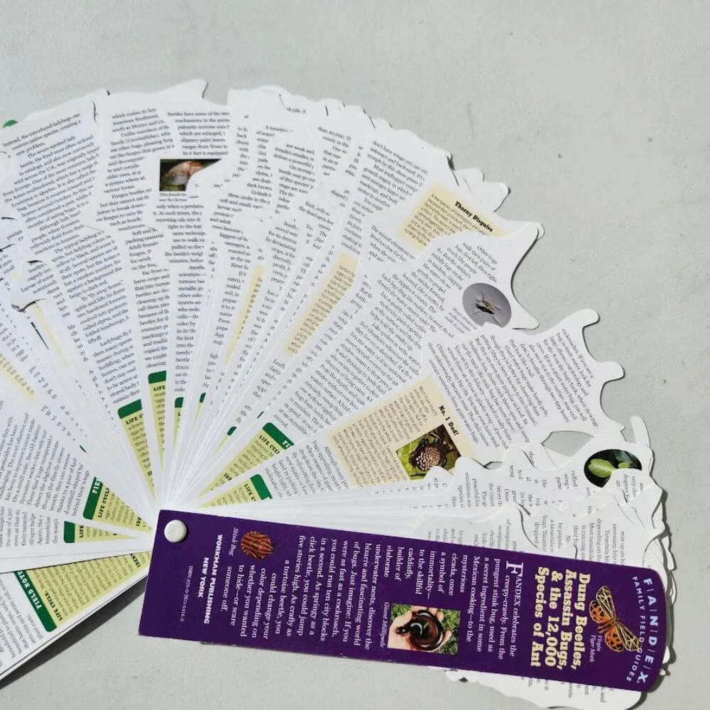 Bugs Insects Identification Pocket Field Guide Book Fandex Nature Identification